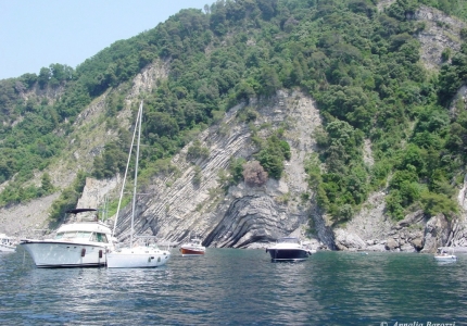 Italy - Camogli - Flysh del Monte Antola