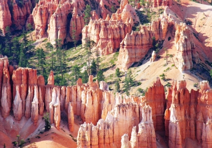 Brice Canyon